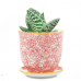 Small Plant Pot & Saucer - 8 Designs